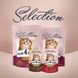 Клуб 4 лапи Plus Selection - вологий корм кролик - індичка в соусі для дорослих котів pln21537 фото 8